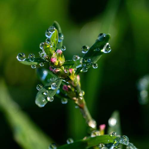 Photo #13634595