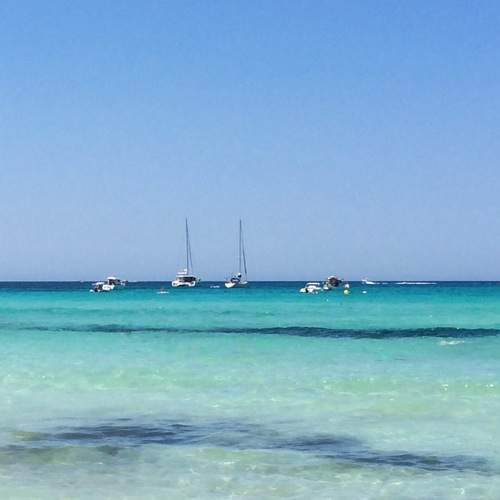 Photo #13634622