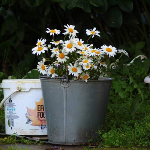 Photo #13634630
