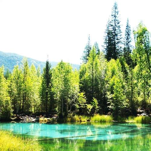 Photo #13634655