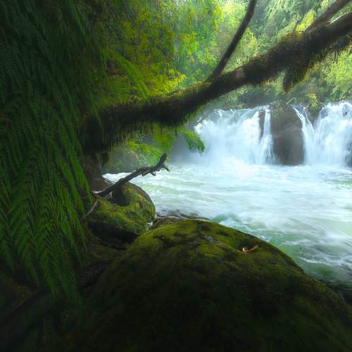 Photo #13634656