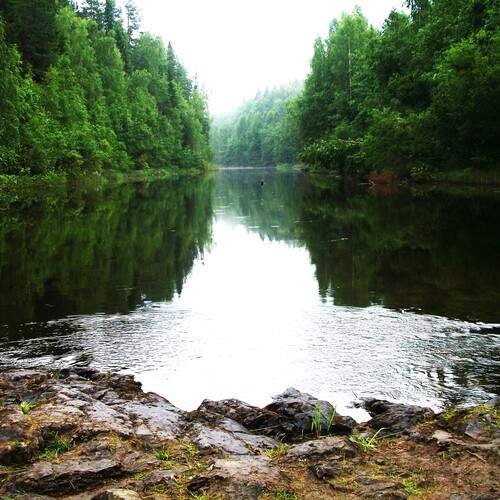 Photo #13634660