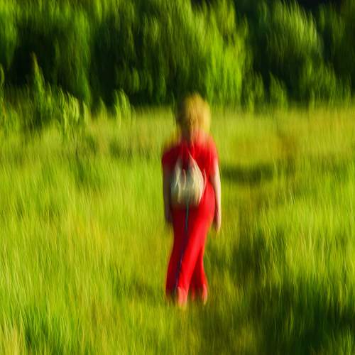 Photo #13634752