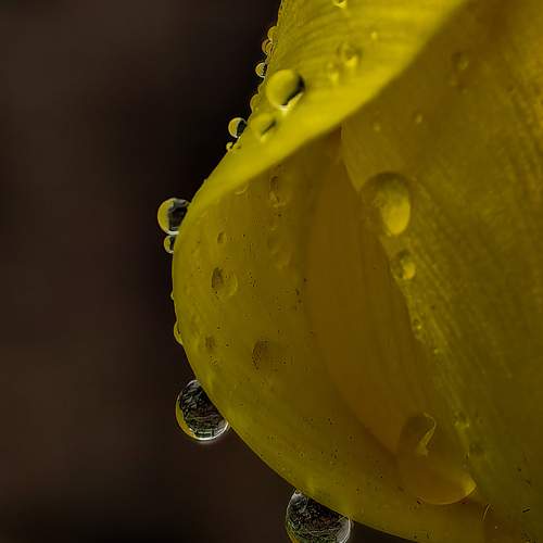 Photo #13634936
