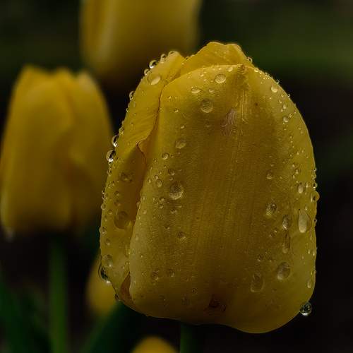 Photo #13634937
