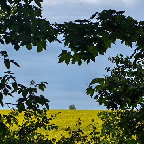 Photo #13634939