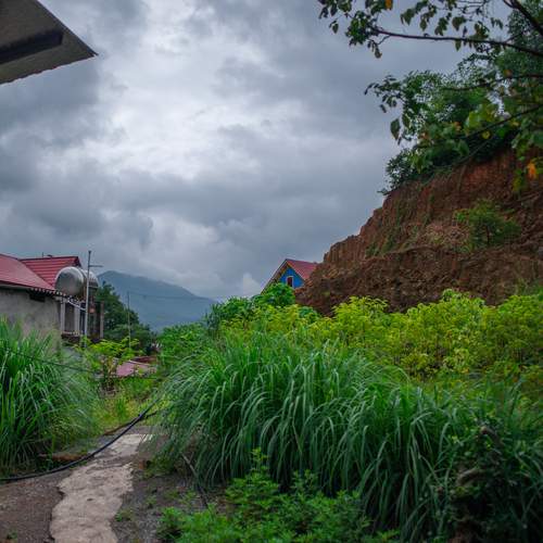 Photo #13635209