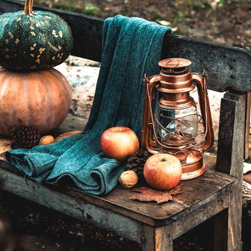 Photo #13635309