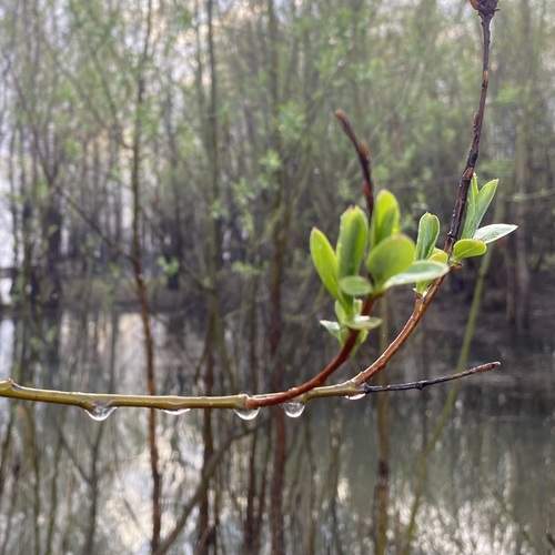 Photo #13635379