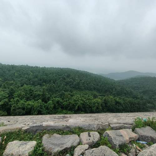 Photo #13635382