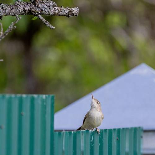 Photo #13635471