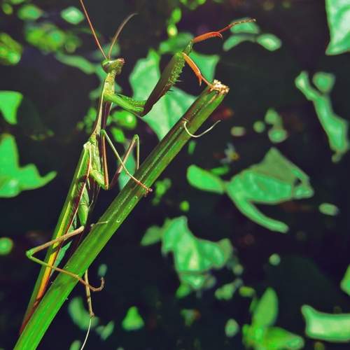 Photo #13635472
