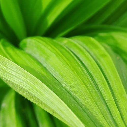 Photo #13635473