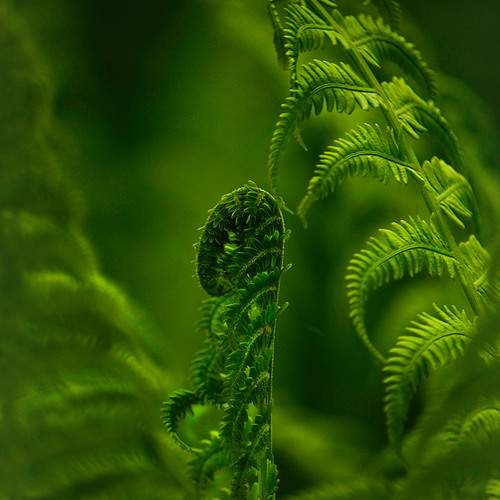 Photo #13635545