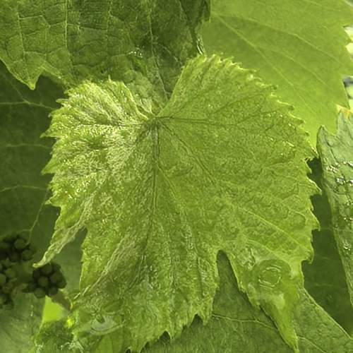Photo #13635579