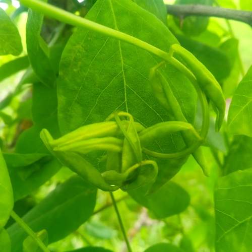 Photo #13635581