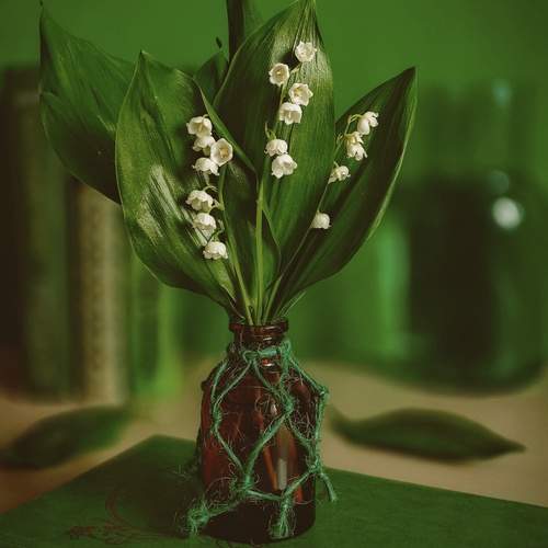 Photo #13635599