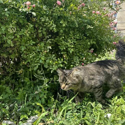 Photo #13635612