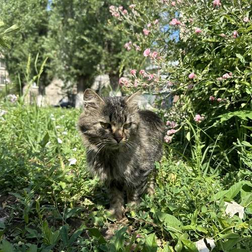 Photo #13635613