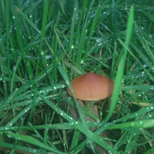 Photo #13635657