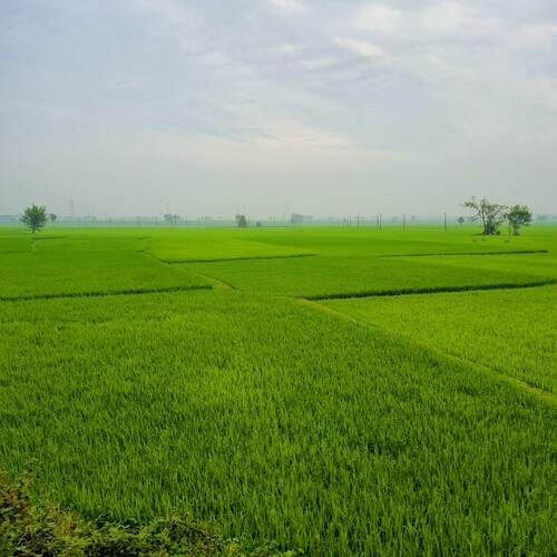 Photo #13635679