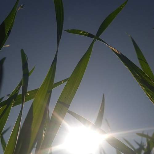 Photo #13635724