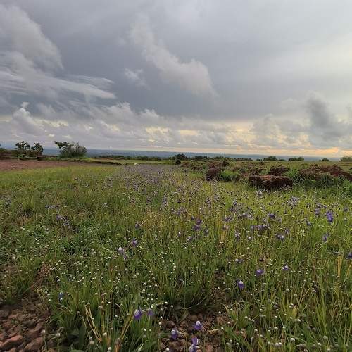 Photo #13635734