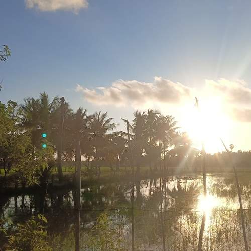 Photo #13635764