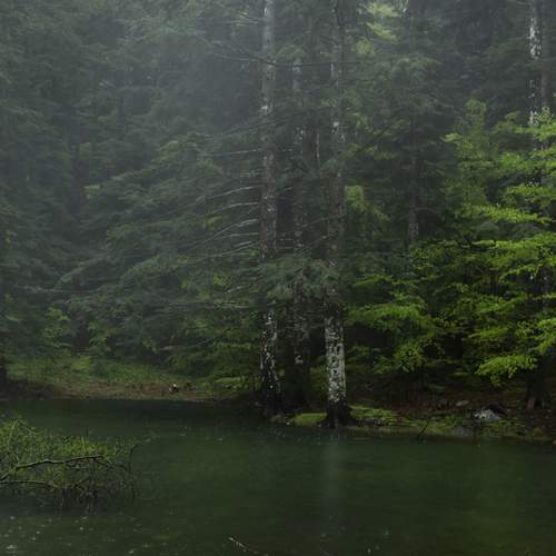 Photo #13635788