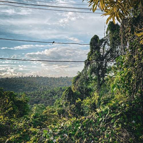 Photo #13635877