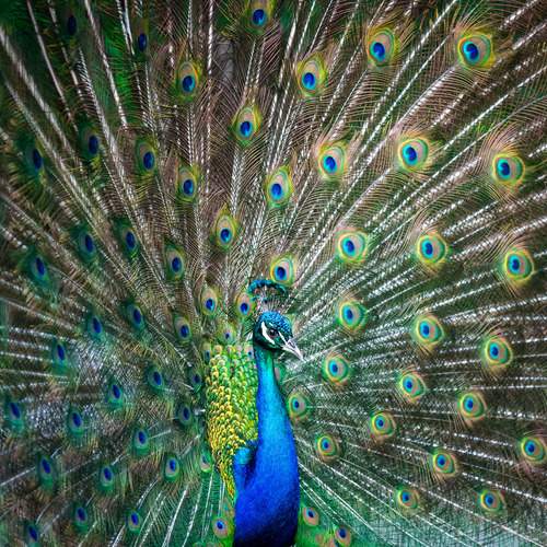 Photo #13635938