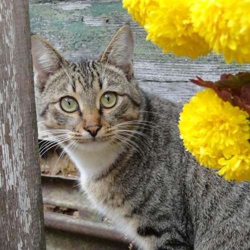 Photo #13635963