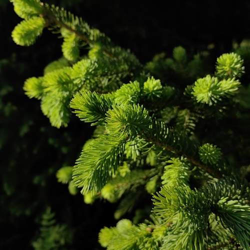 Photo #13635973