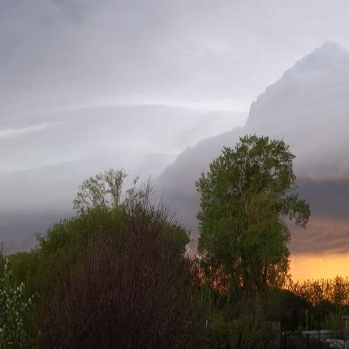 Photo #13636158