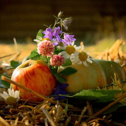 Photo #13636164