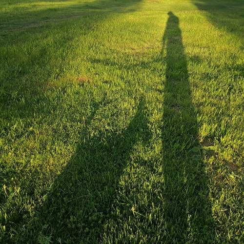 Photo #13636399