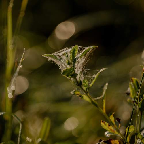 Photo #13636517