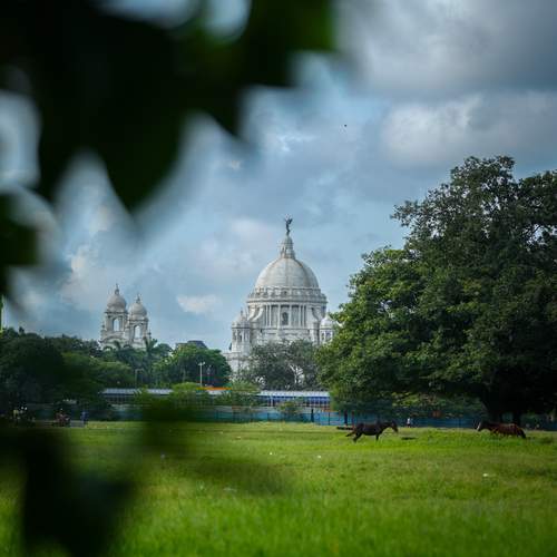 Photo #13636537