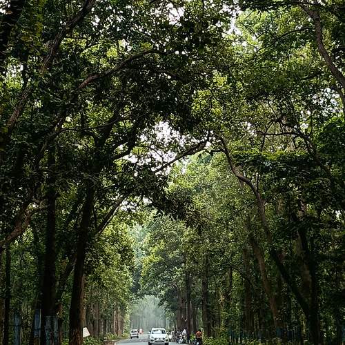 Photo #13636546