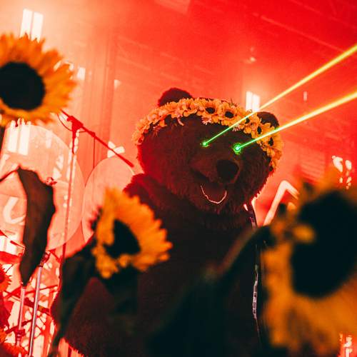 Photo #13636573
