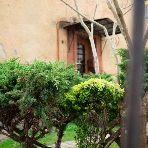 Photo #13636637