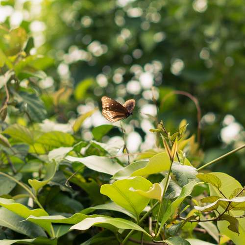 Photo #13636672