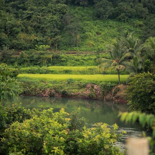 Photo #13636674