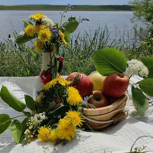 Photo #13636699