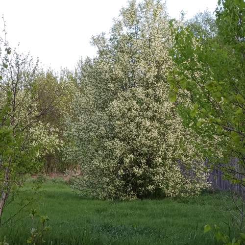 Photo #13636787