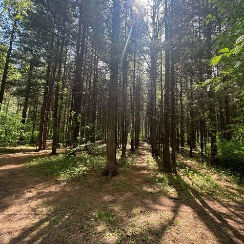 Photo #13636795