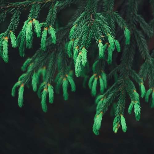 Photo #13636915