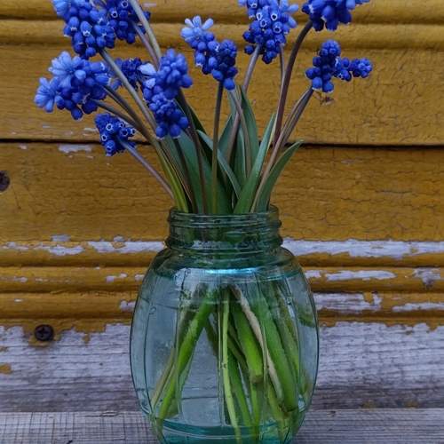 Photo #13636962