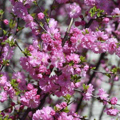 Photo #13636965