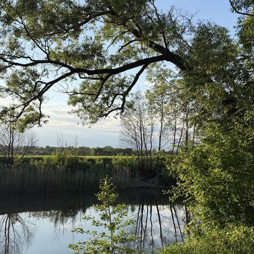 Photo #13636996